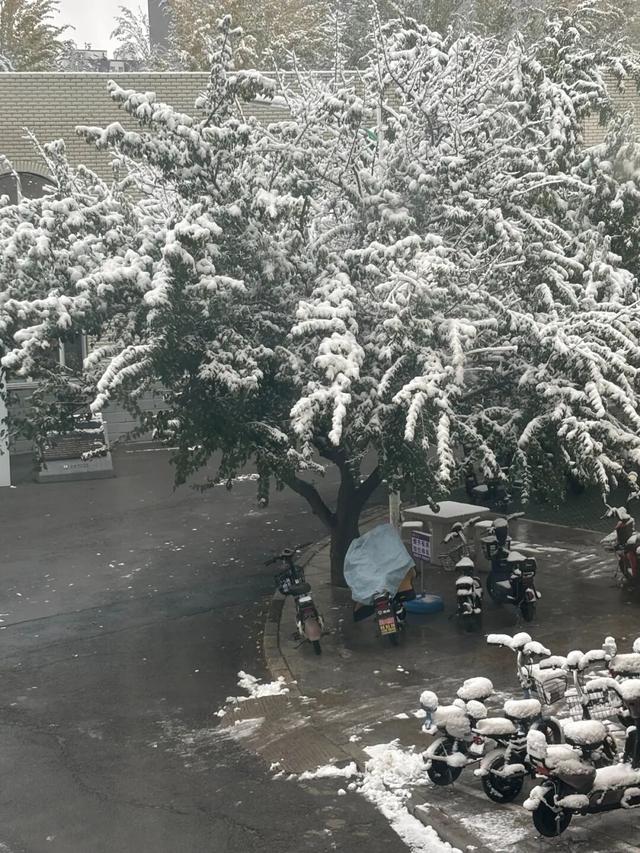 10月，「需要另一个同类」