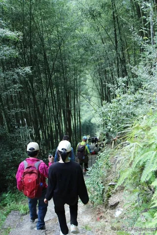 醉美林坑晒秋!这条连接两个避世古村落的省一级古道,周末可走起