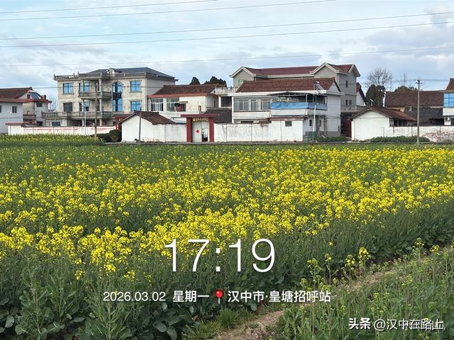 年还没过完，汉中的油菜花就开了！实地实拍抢先看