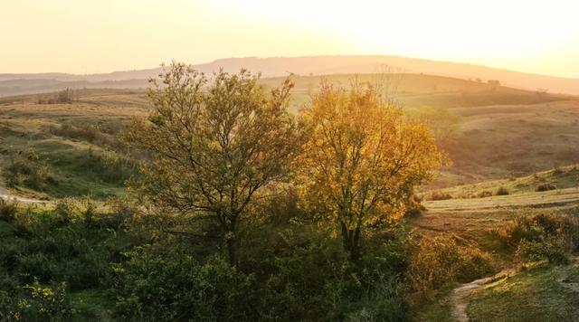 一键收藏!明光南部2025年秋景大赏