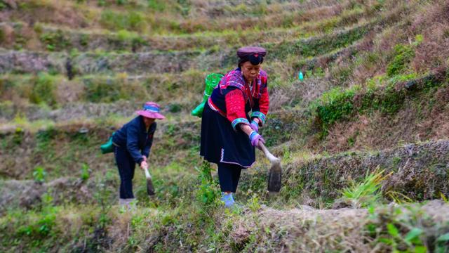 龙胜:“水镜梯田”唤醒冬韵 下埠屯书写旅游新篇
