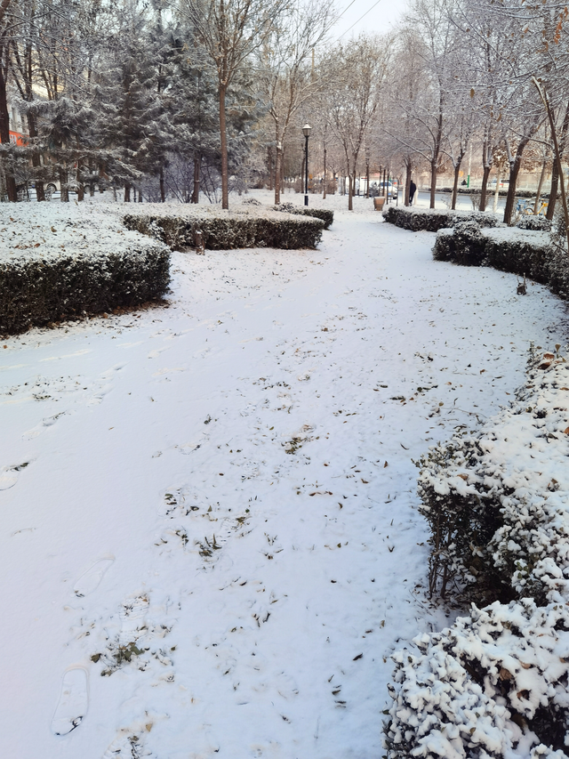 漫步黄河之滨幽静的小路