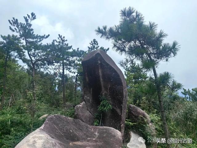 温州这个自然与人文交融的避暑胜地值得走起！