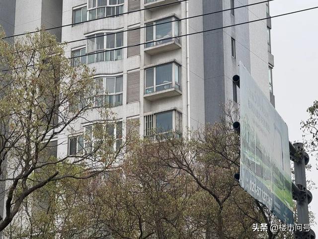 上海的海岸线，要开始蜕变了
