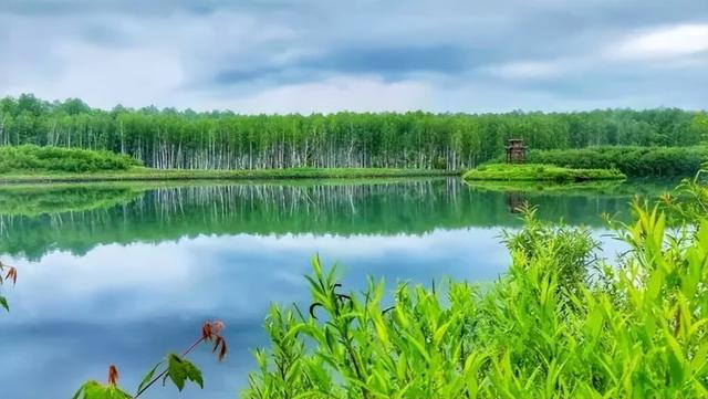 乘着高铁游白山 | 皖美夏日