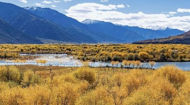 “冬游西藏”福利拉满！跟着《奔跑吧》游西藏太值了