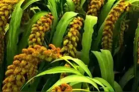 彩票史上最大免税案！2.2亿得主揭开政策盲区的真相图片