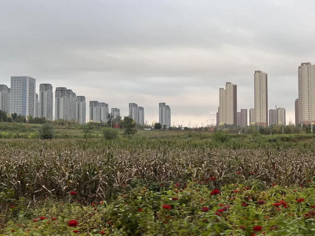 黄金牛市结束了？纸质火车票成为历史？｜头条精选周荐