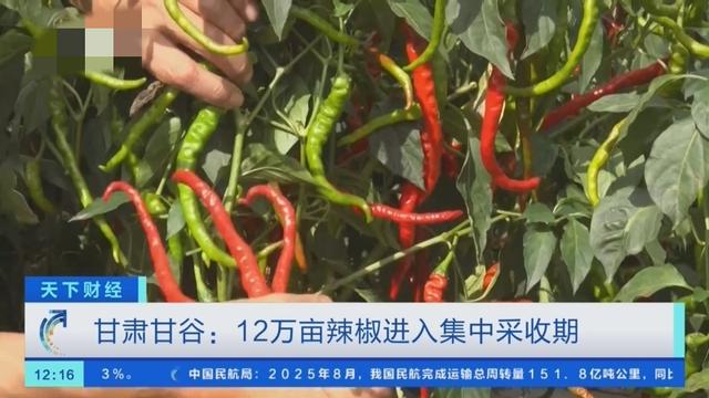 好消息!好消息!9月21日凌晨2点分前发生的最新消息!