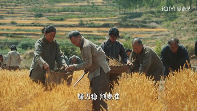 《生万物》收官，5人零差评，2人升咖，1人翻红，只有她被骂惨！