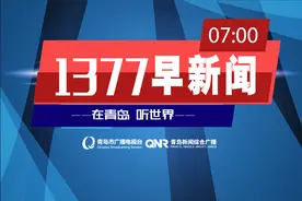 本地“春鲅鱼”上市，青岛搭建“陆空”专线，助力海鲜经济“扩圈”《1377早新闻》图片