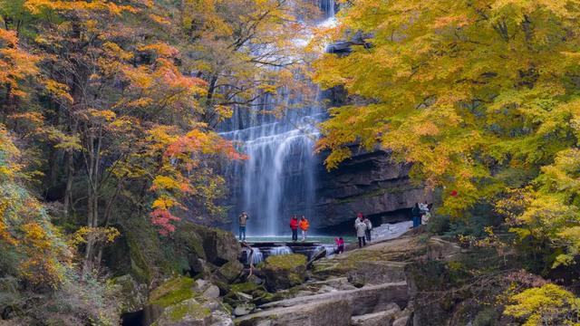 秋假不“宅家”!汉中这4条线路,承包你和孩子的秋日心动~