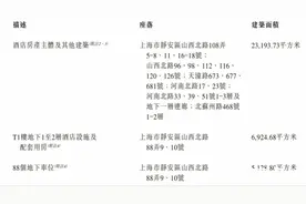 谁敢接盘上海宝格丽酒店？图片