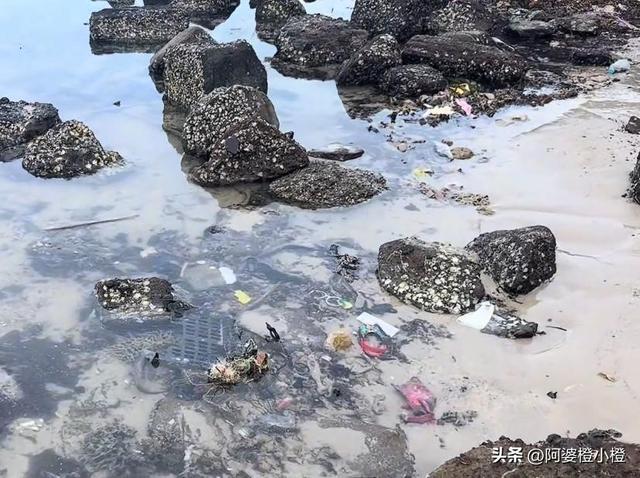 博主吐槽涠洲岛乱收费，除了呼吸都要钱，岛上民宿老板炸锅了