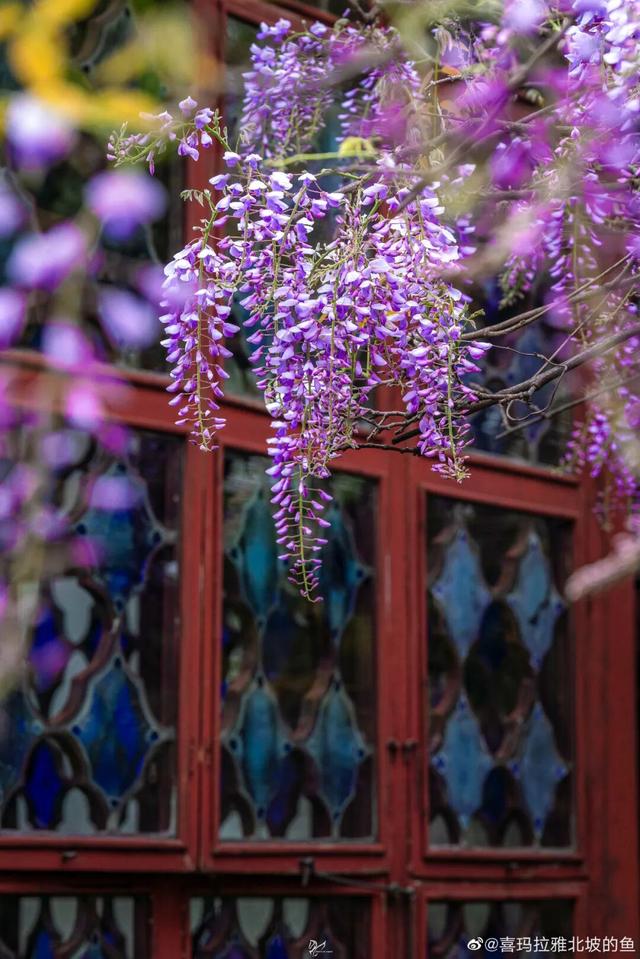 苏州十大“寿星”出炉！