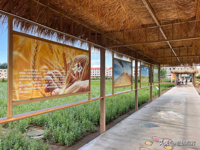 探秘呼和浩特！北疆农牧科技文化园，解锁城市里的田园新玩法！