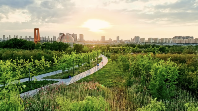 小信说发展 ▍↑288%！旅行社为何在十二师“扎堆”?