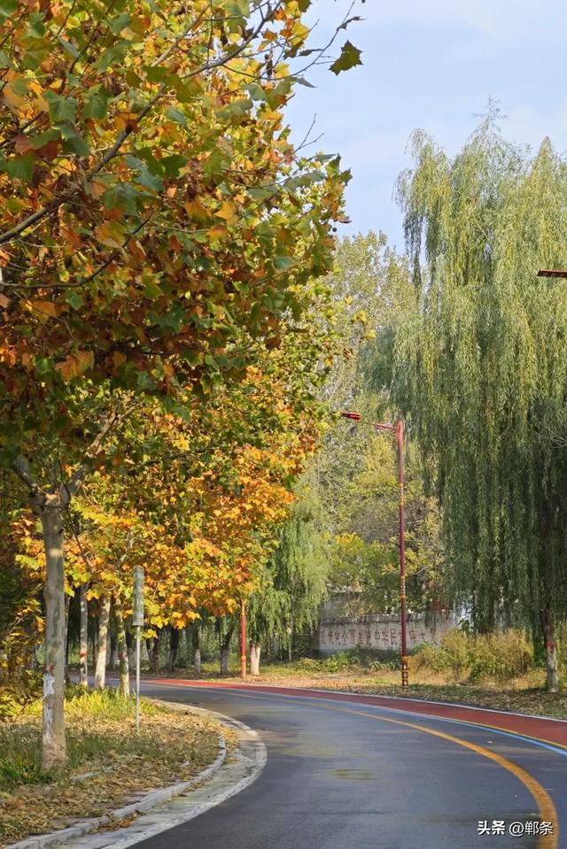 魏县：一卷斑斓 满城诗意