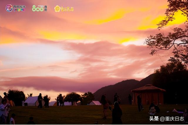 “花海+战机”持续刷屏，叠石花谷成国庆热门打卡地
