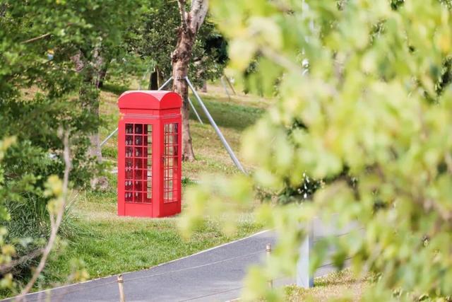 21个打卡点等你解锁！第三届深圳·光明国际公共艺术季开展