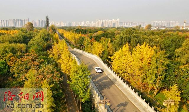 多彩园林 扮靓洛城