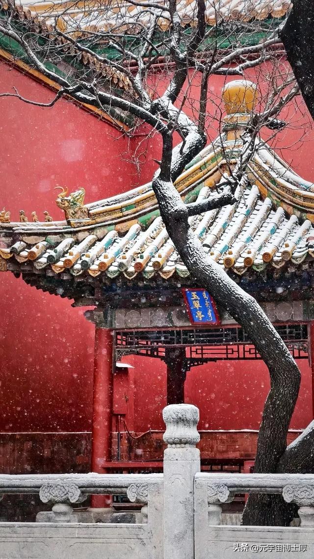 北京下雪后天寒地冻数九寒天大雪小雪冬至又一年注意保暖
