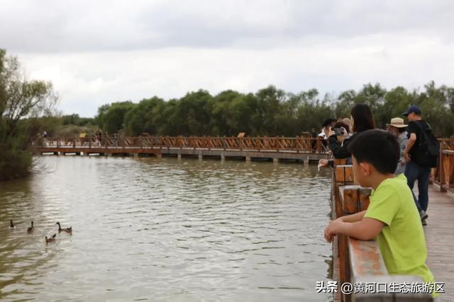 【情满双节游东营】黄河口生态旅游区 开启“人从众”模式 国庆精彩持续上演