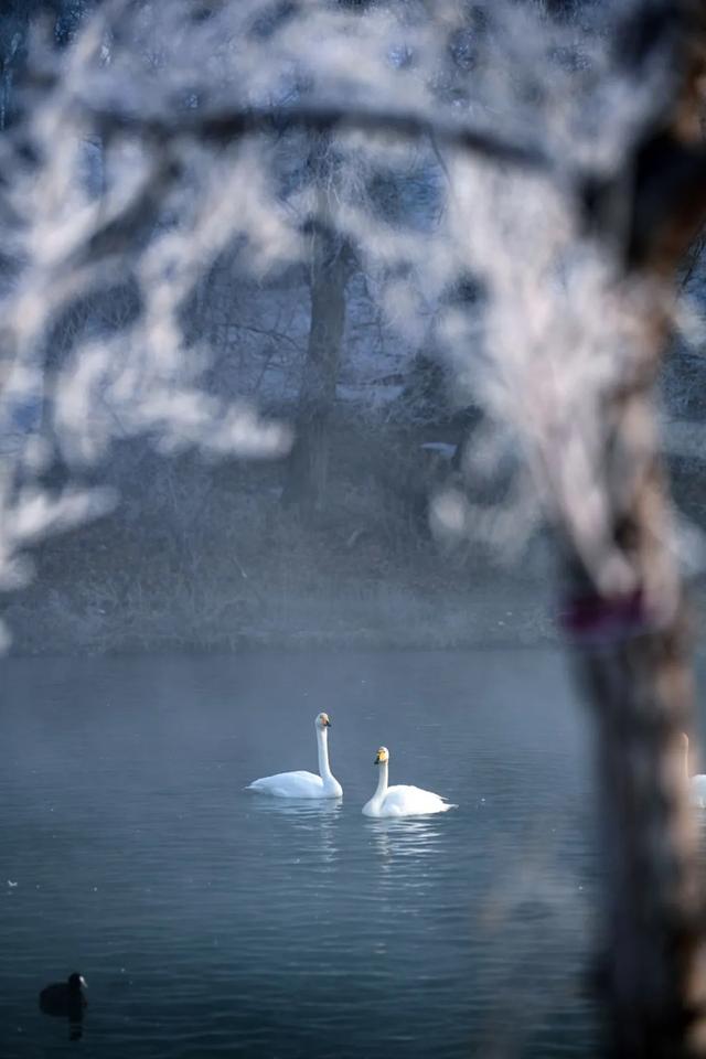 如要选一个冬季最佳拍雪景的地方,首选一定是它