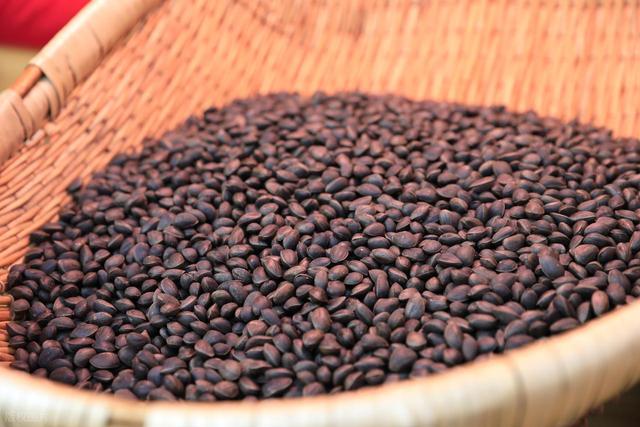 草原、沙漠与森林的密语：探访内蒙古那些不为人知的“宝藏”