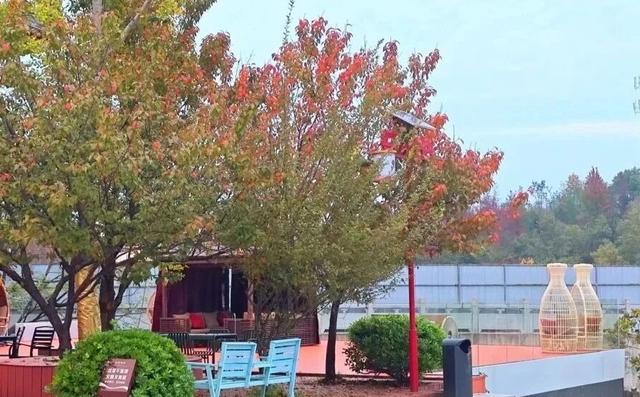 巨出片！观音湖「延迟版」秋景亮相