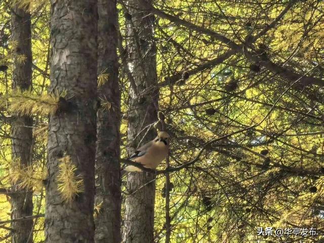 马峡镇车厂沟村：守一库碧水映青山 绘就生态宜居新画卷