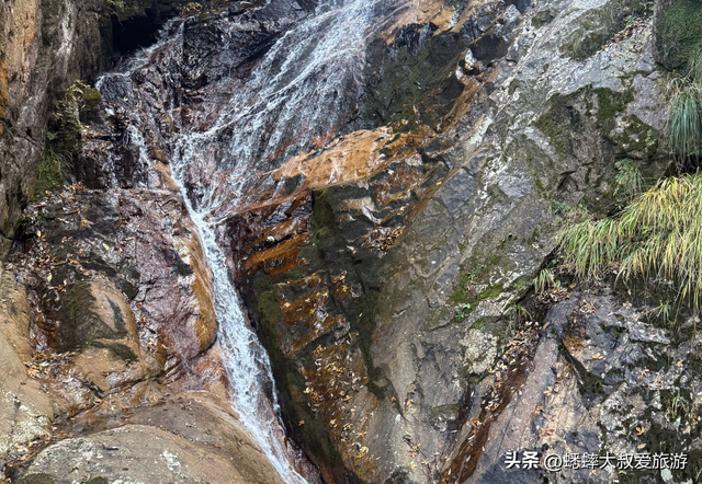 杭州“打工人”秋季度假地来了，免门票直接逛，随手一拍都是壁纸