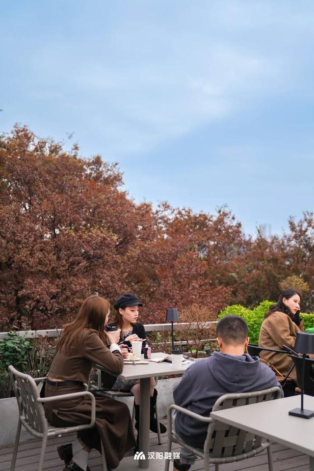 武汉城中心的彩叶秘境，在汉阳藏不住了！