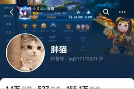 “胖猫谭竹事件”，撕开了纯爱战士最后一块遮羞布图片