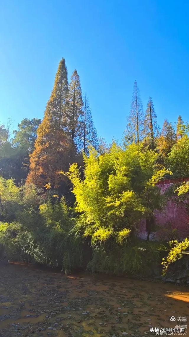 秋染浙西,邂逅烂柯仙境的绝美风光!