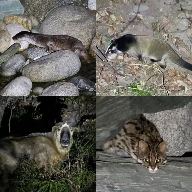 九绵高速国庆 “解锁” 新速度：成都 3 小时到唐家河，川西北 4 日自驾全指南