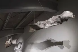 木木美术馆：艺术之境的璀璨明珠图片