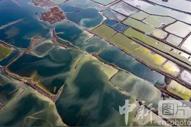 山西运城：千年盐湖冬景美图片