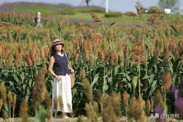 喜讯!瞿上田园正式获评国家3A级旅游景区!