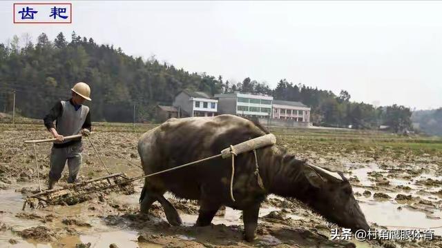 凌晨2点19分秋分！老话说“十个牛栏九个空”，今年冬天冷到哭？