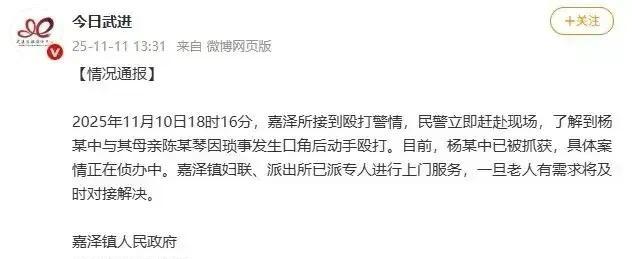 母亲被儿子暴打后续：久住老人家中，女儿监控立功	，曝更多内幕