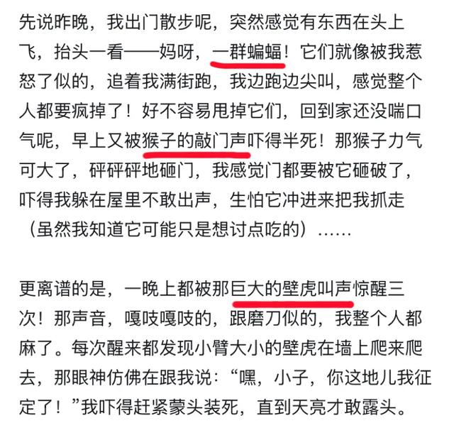 阻止我去巴厘岛旅游的唯一理由: