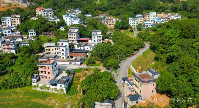 定了！ 徒步云上南清，见证深山村落的文旅蝶变之路