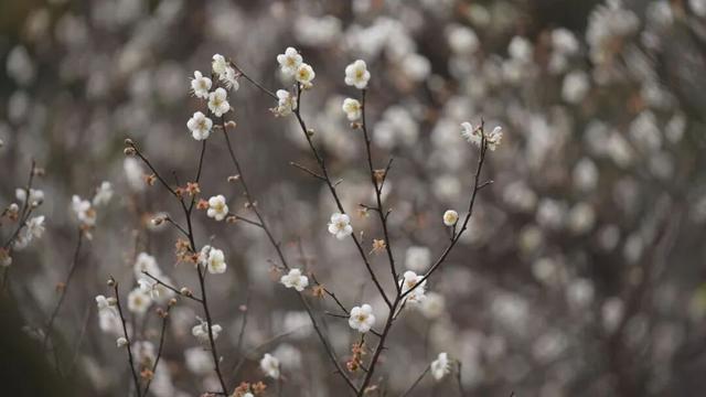 韶关这些秋冬的徒步骑行宝藏路线值得你N刷！喊上搭子，周末就出发去捕捉秋天的限定温柔