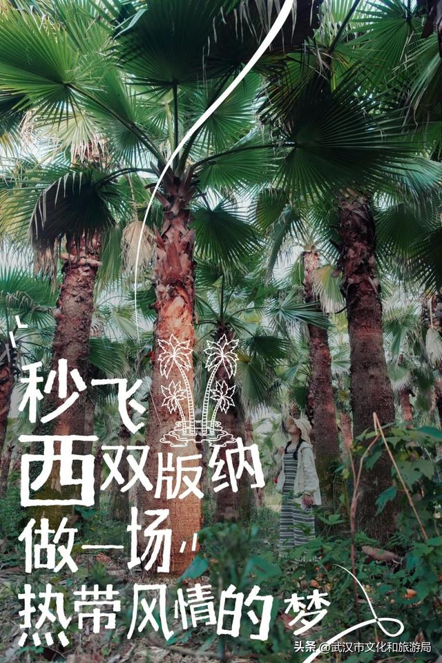 美到不真实！有人知道这是东湖哪里吗？