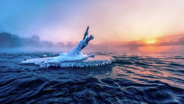 大量宿迁游客涌入黑河 打着旅游幌子不去旅游不吃美食，为啥来？