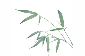 山西高速交警五支队：隧道行车隐患多 这些知识要牢记 | 安全提示图片