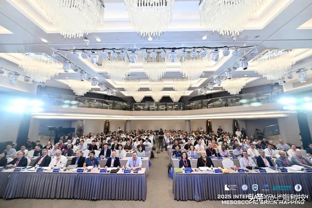 为脑部疾病研究提供“加速度”！国际灵长类介观脑图谱联盟在沪成立 | 浦江创新论坛