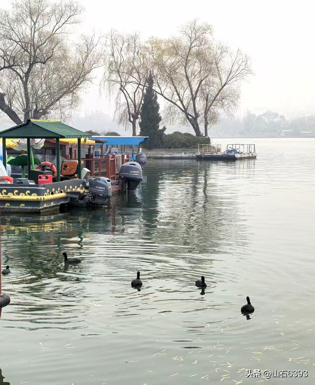 新华社原军事记者陶俊峰泉城美拍：《冬雾中的大明湖》