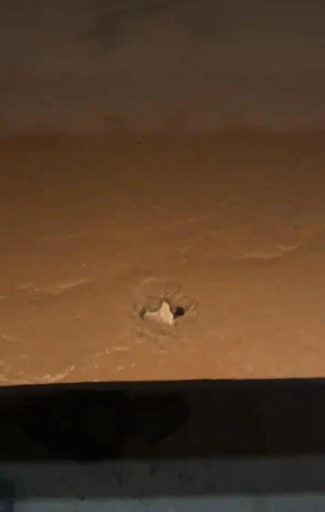 男子从温州一大桥跳下，没想到正值退潮江中无水，身体陷入淤泥中无法脱身，被消防人员救起送医